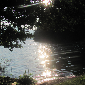 17-sommerabend-entspannung