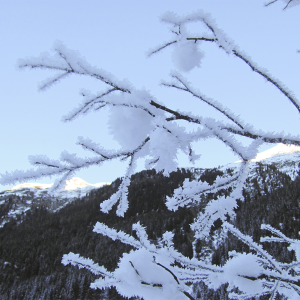 18-winter-kristallshow-1-als-smartobjekt-1